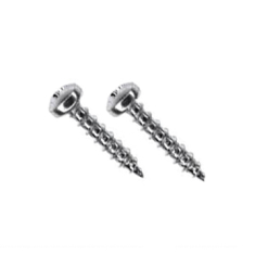 Stainless Steel Brush Socket Screws x 2 - 19mm